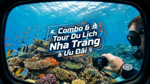 Tổng Hợp Combo & Tour Du Lịch Nha Trang Ưu Đãi: Bí Kíp Du Lịch Tiết Kiệm, Trải Nghiệm Đẳng Cấp