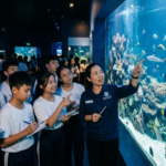 Trải Nghiệm Edu-Tourism & Khám Phá Đại Dương tại Nha Trang: Cẩm Nang Toàn Tập Cho Gia Đình và Trường Học