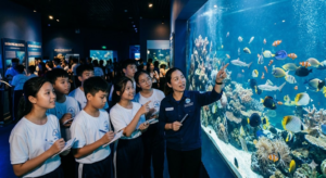 Trải Nghiệm Edu-Tourism & Khám Phá Đại Dương tại Nha Trang: Cẩm Nang Toàn Tập Cho Gia Đình và Trường Học - Trải Nghiệm Edu-Tourism & Khám Phá Đại Dương