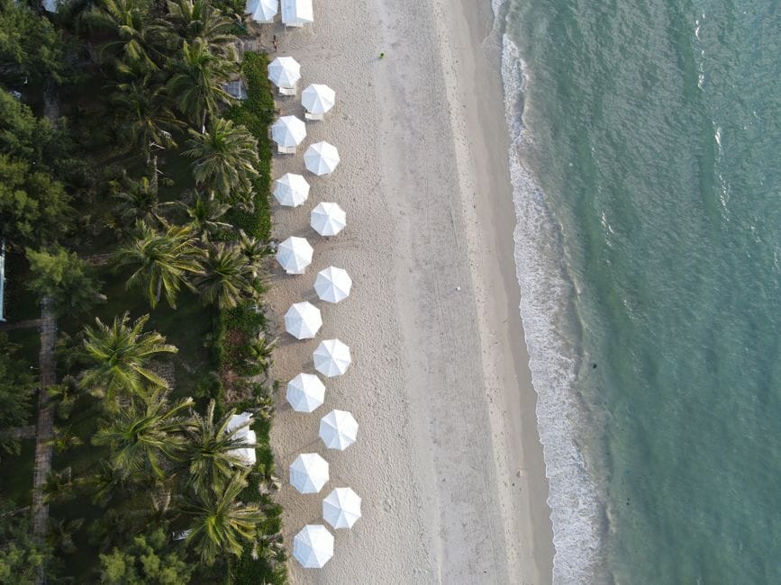 Bí kíp săn vé máy bay Hà Nội Nha Trang giá rẻ: Hướng dẫn từ A đến Z - Liên Hệ Đặt Dịch Vụ