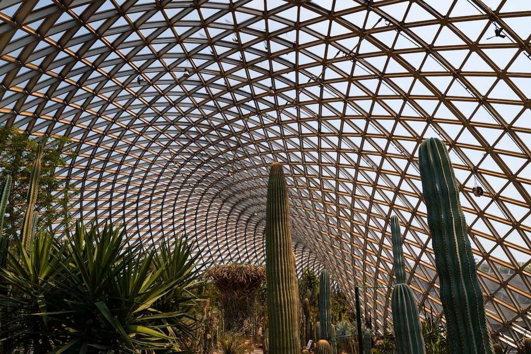 Cẩm nang khám phá VinWonders Nha Trang The World Garden chi tiết từ A-Z