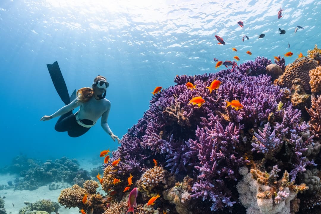 Kinh nghiệm du lịch tour Nha Trang Vinpearl trọn gói từ A đến Z