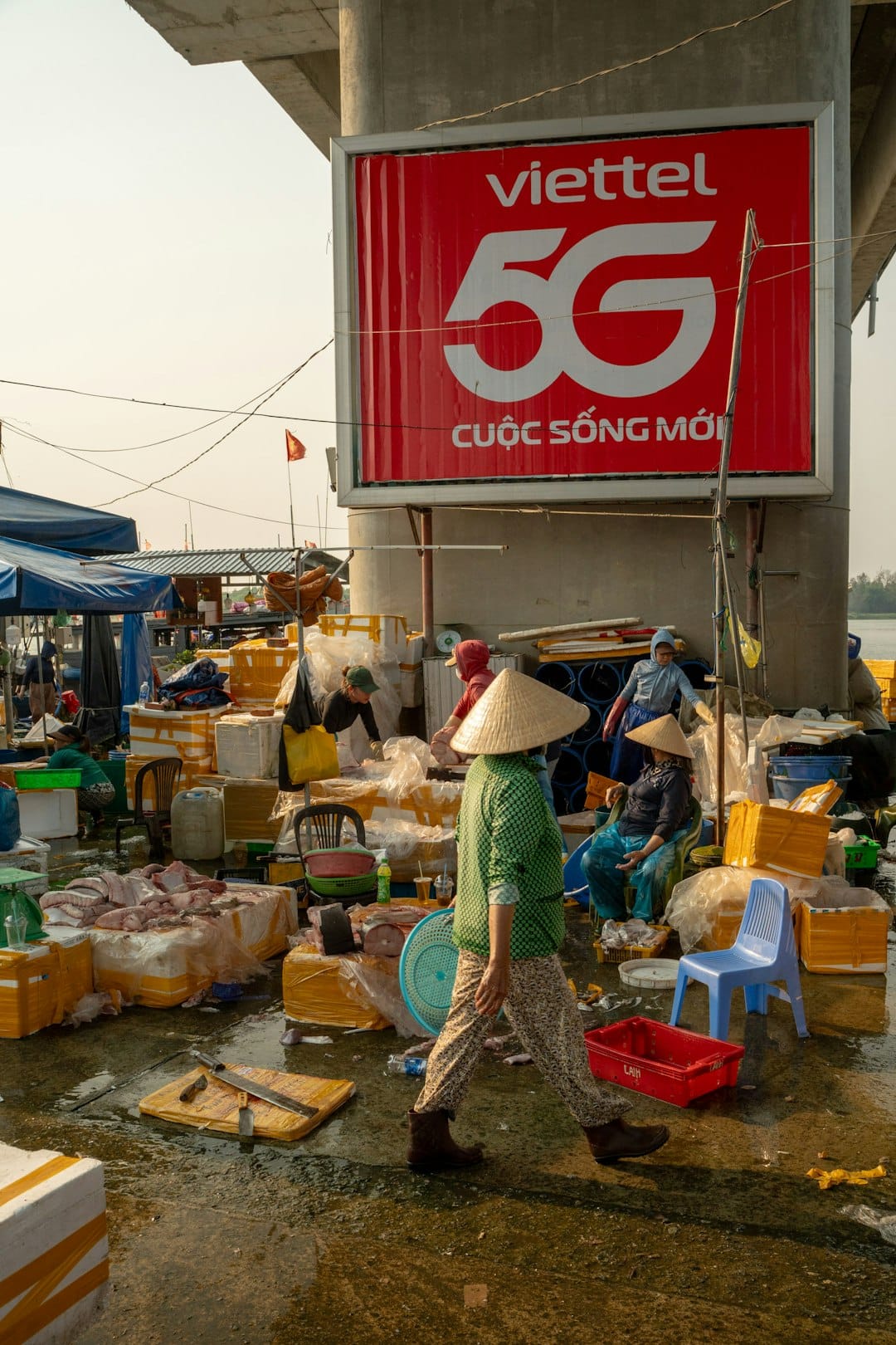 Top Địa Điểm Ăn Hải Sản Nha Trang Ngon Nhất Và Cẩm Nang Du Lịch Trọn Bộ
