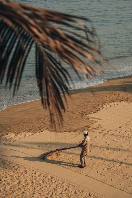 Khám phá hệ sinh thái biển Khánh Hòa dân văn phòng: Cẩm nang trốn phố lên rừng xuống biển - Edu-Tourism (Du lịch trải nghiệm)