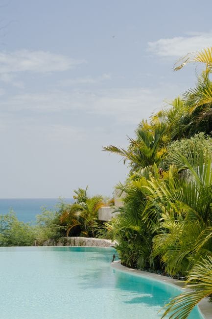 Kinh nghiệm du lịch Bãi Dài: Chọn khách sạn view biển Cam Ranh và lịch trình khám phá trọn vẹn - Khách sạn Nha Trang